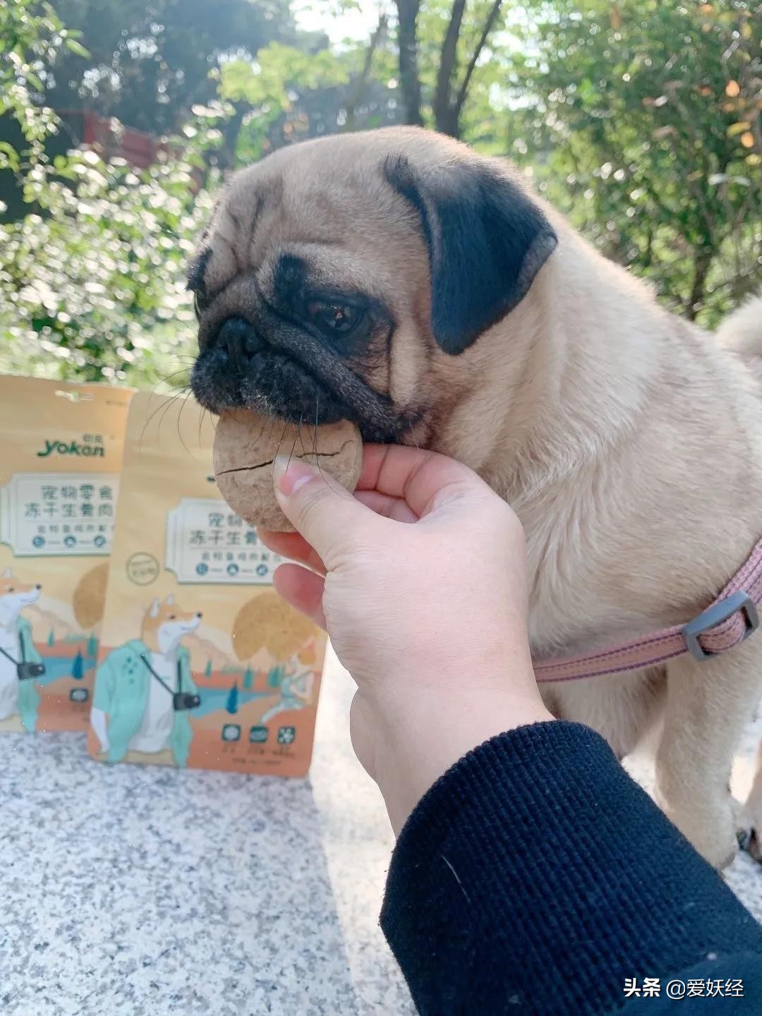 怡亲新品冻干生骨肉，据说是可以做主食的零食