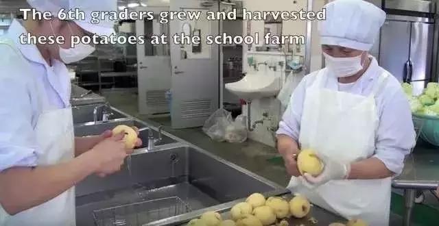 日本对孩子的教育真实面目,日本人残酷的对待孩子