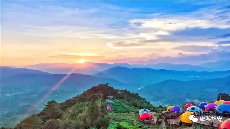 春风十里不如你，我在华安等着您