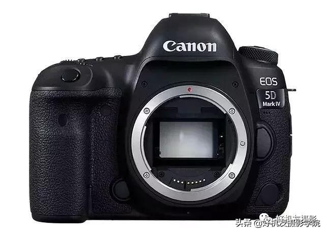 新手入门单反微单推荐,选单反相机还是微单相机好