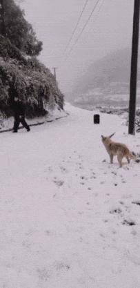 搞笑gif开心一刻满满的正能量,搞笑gif开心每一天