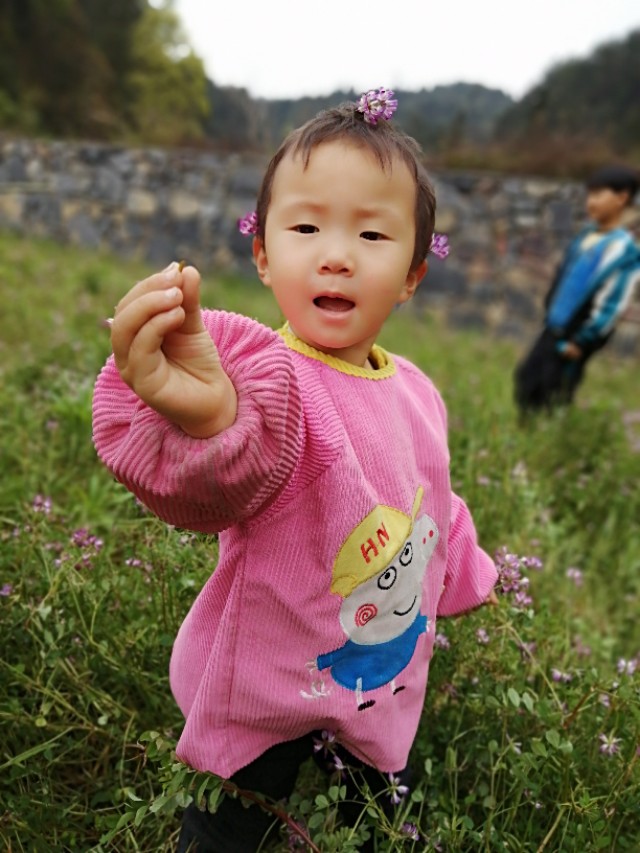 陌上花开,彩蝶翻飞,蜜蜂采蜜,这是一阙美丽的《蝶恋花》