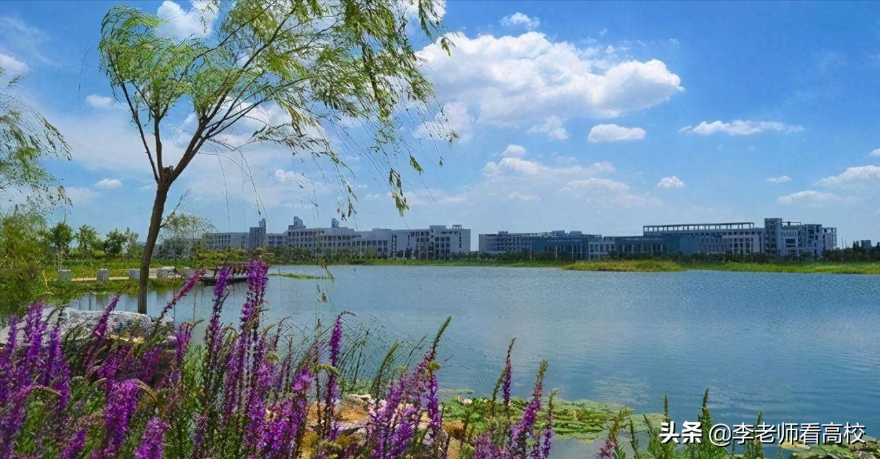 河北工业大学的落寞：*局破**与希望