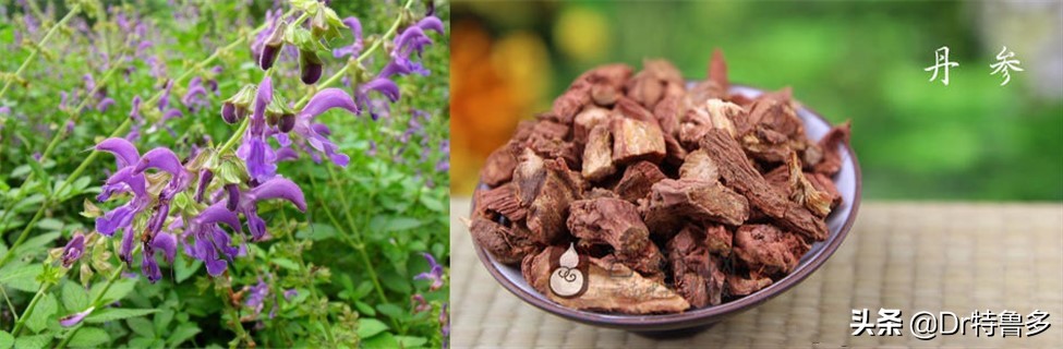 骨折中医和西医的意见不一样,骨折愈合中医西医一个不能少