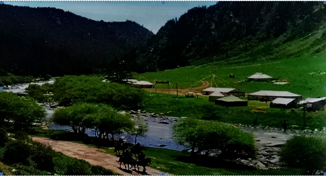 山丹军马场世界第一大军马场,亚洲第一马场山丹军马场直播