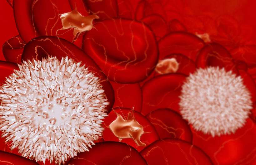 怀孕初期血小板和白细胞偏高,怀孕12周白细胞偏高怎么办