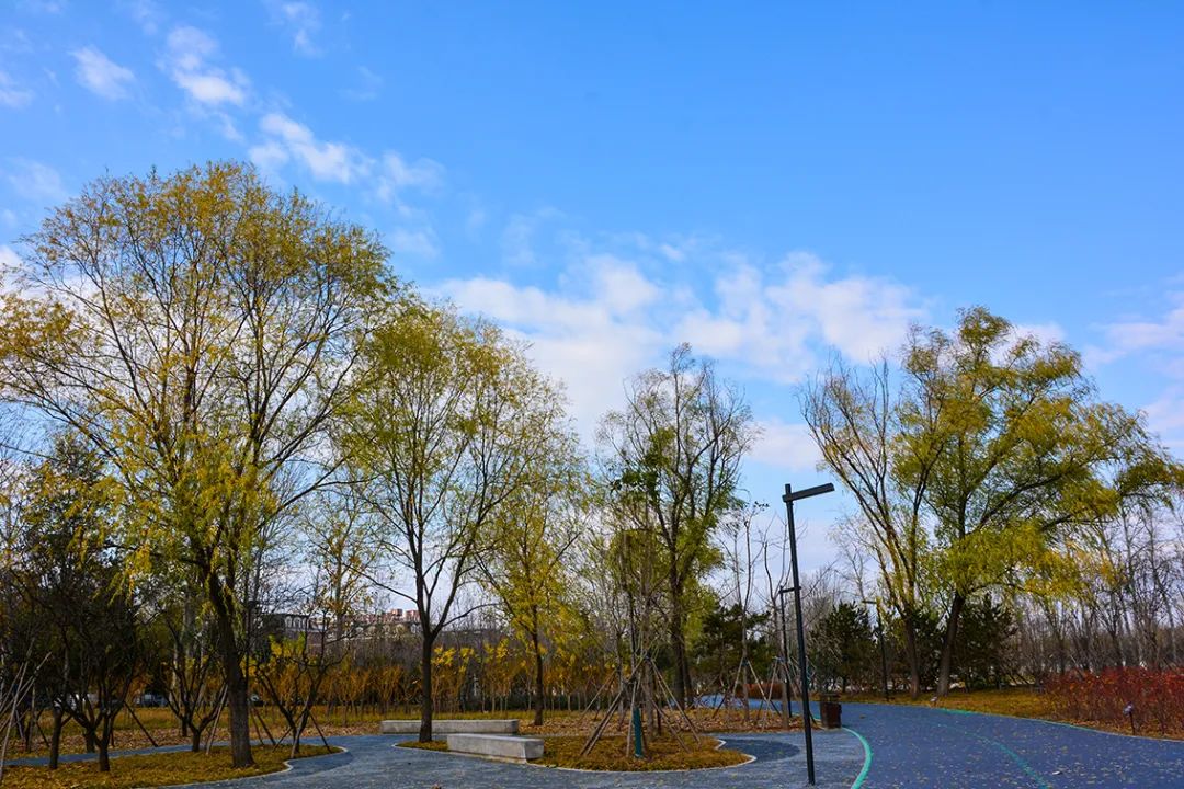 春意盎然北京五大公园,北京区级综合性公园