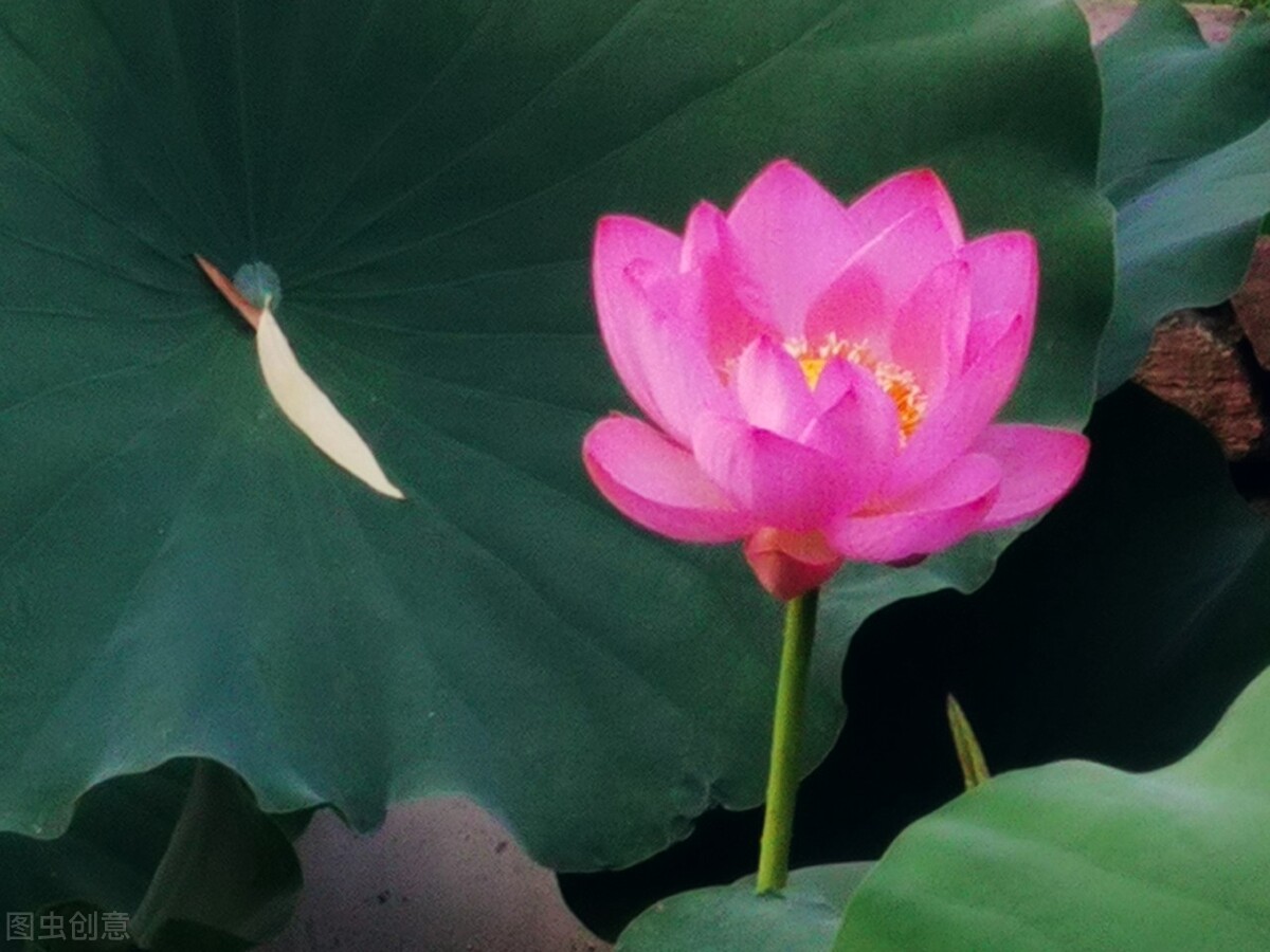 交谈技巧有哪些,有效交谈的技巧