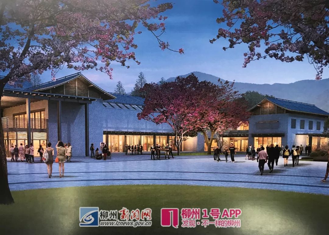 柳州紫荆花园在哪里,柳州紫荆花园最新消息