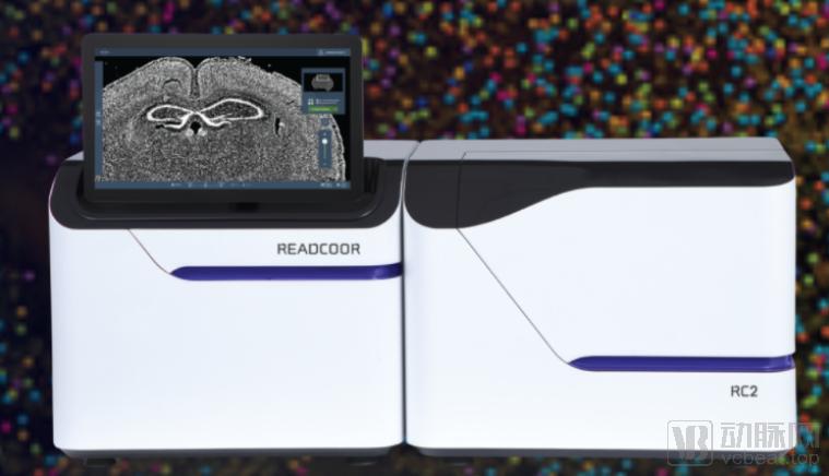 空间转录组测序,空间转录组测序公司