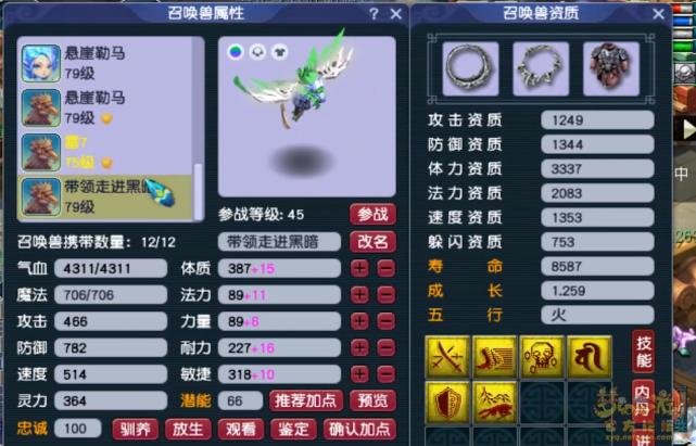 梦幻西游69普陀配号攻略大全,梦幻西游普陀山69带什么法宝