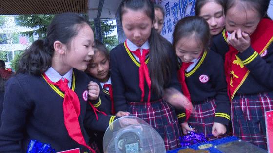 向日葵、比卡丘,嗨翻桐梓这些学校