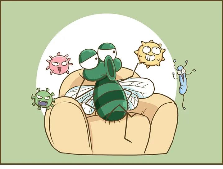 榄菊去粉螨,榄菊驱虫原理