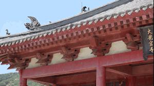 菊花岛探秘,大连海岛游菊花岛