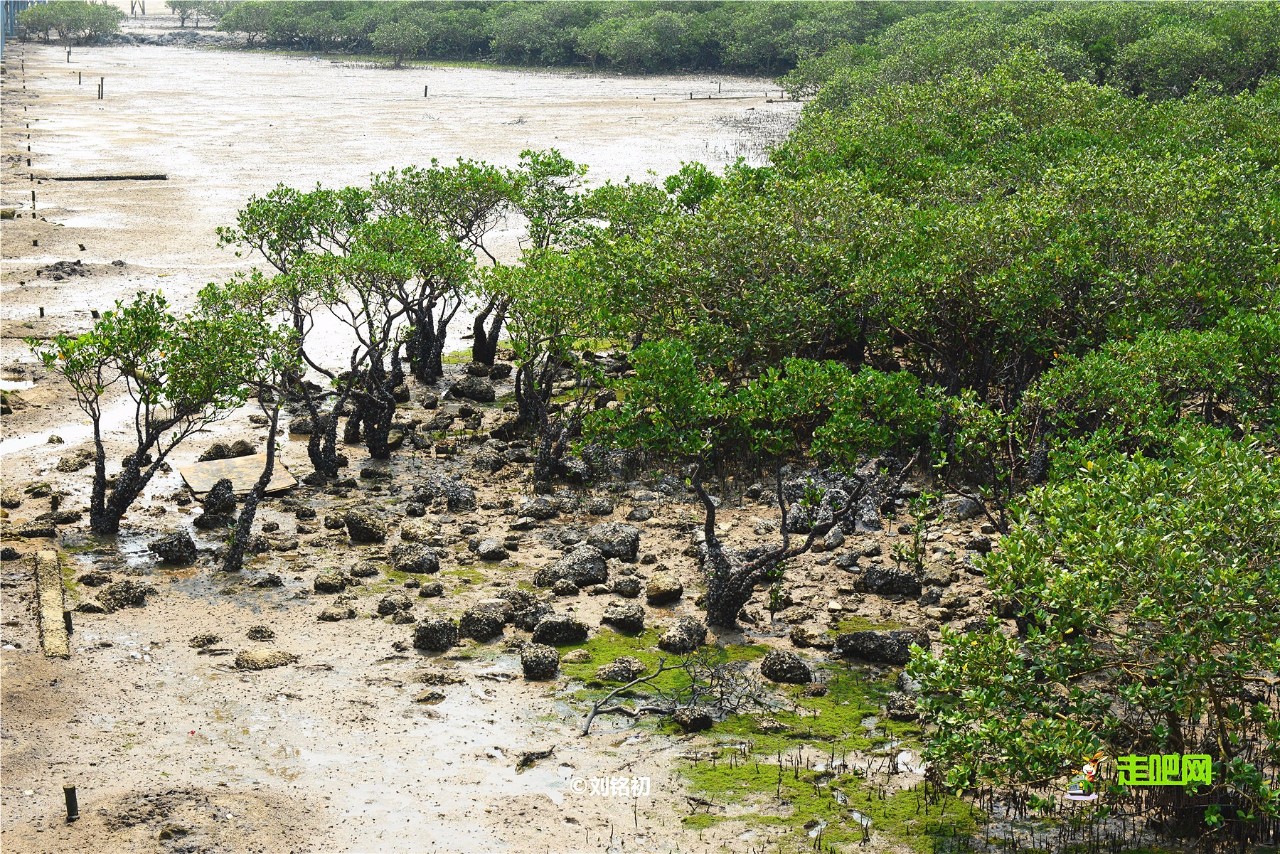 名气不及北海，这座南方边陲小城现在却比三亚更受北方人青睐！