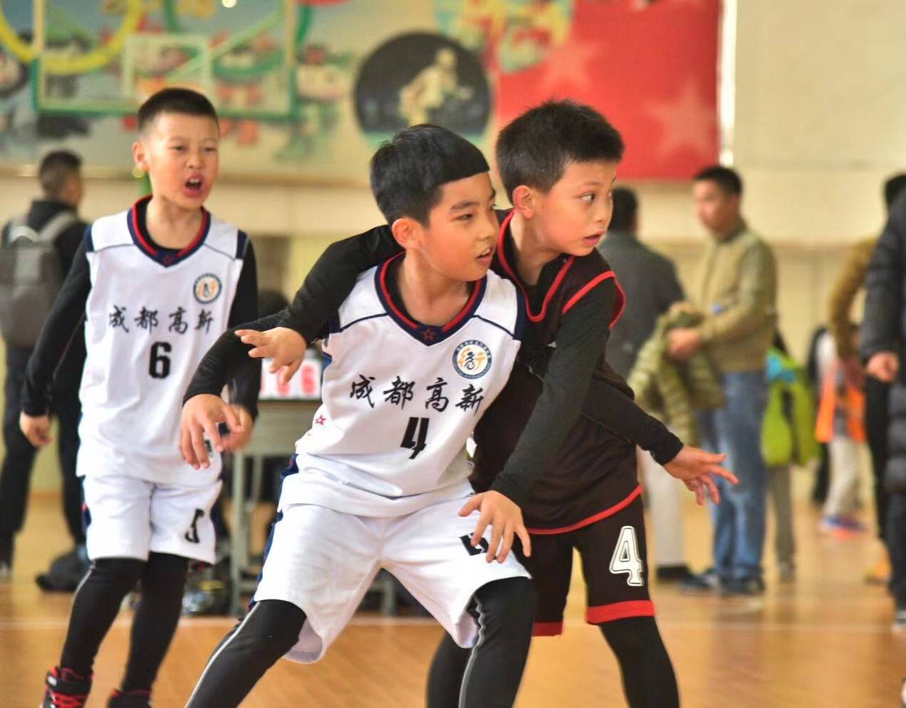 成都市金牛实验行知小学,成都高新区行知小学