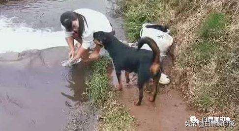 白鹿原中的风土人情,白鹿原上的生活记忆