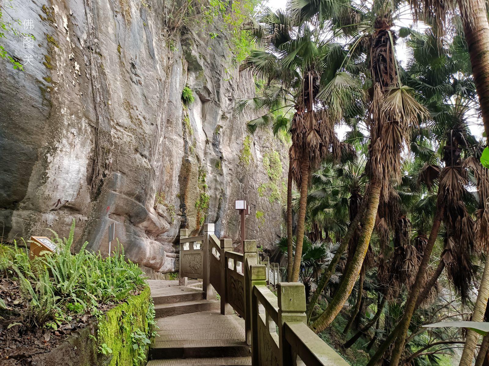 半山崖步道路线,渝中区半山崖步道
