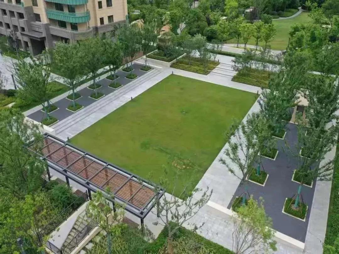 大局已定完整版视频,大局已定静待时机