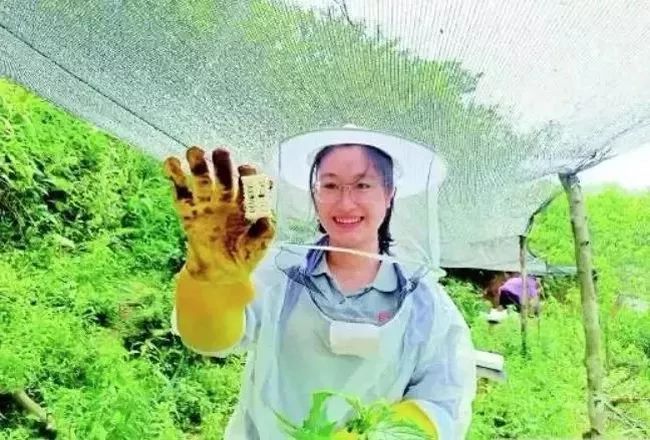 以芳华立誓不负教育强国梦,以芳华立誓背景音乐