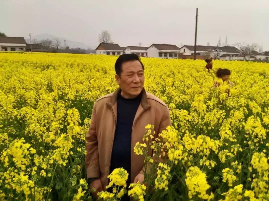 我的绣花鞋情结完整版,布鞋情结文章