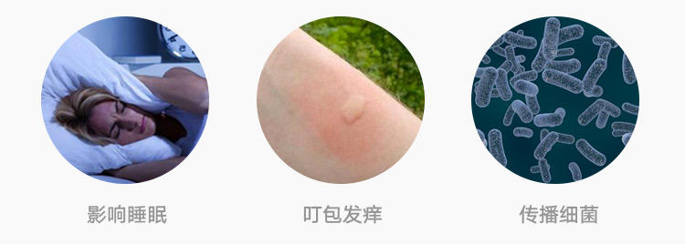 防辐射盆栽仙人掌,四季开花驱蚊的盆栽