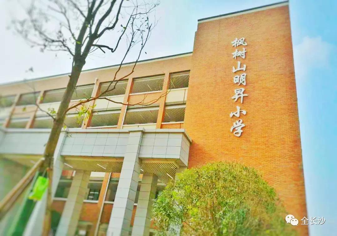长沙市枫树山集团,湖南长沙实力最强的企业有哪些