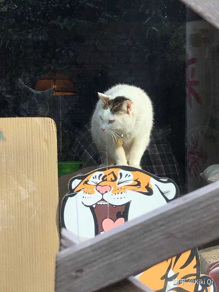 郑州有什么好吃的美食,郑州有什么好玩的地方情侣