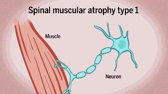 雄黄粉驱蛇与中药雄黄粉有区别吗,蛇最怕不是雄黄是什么