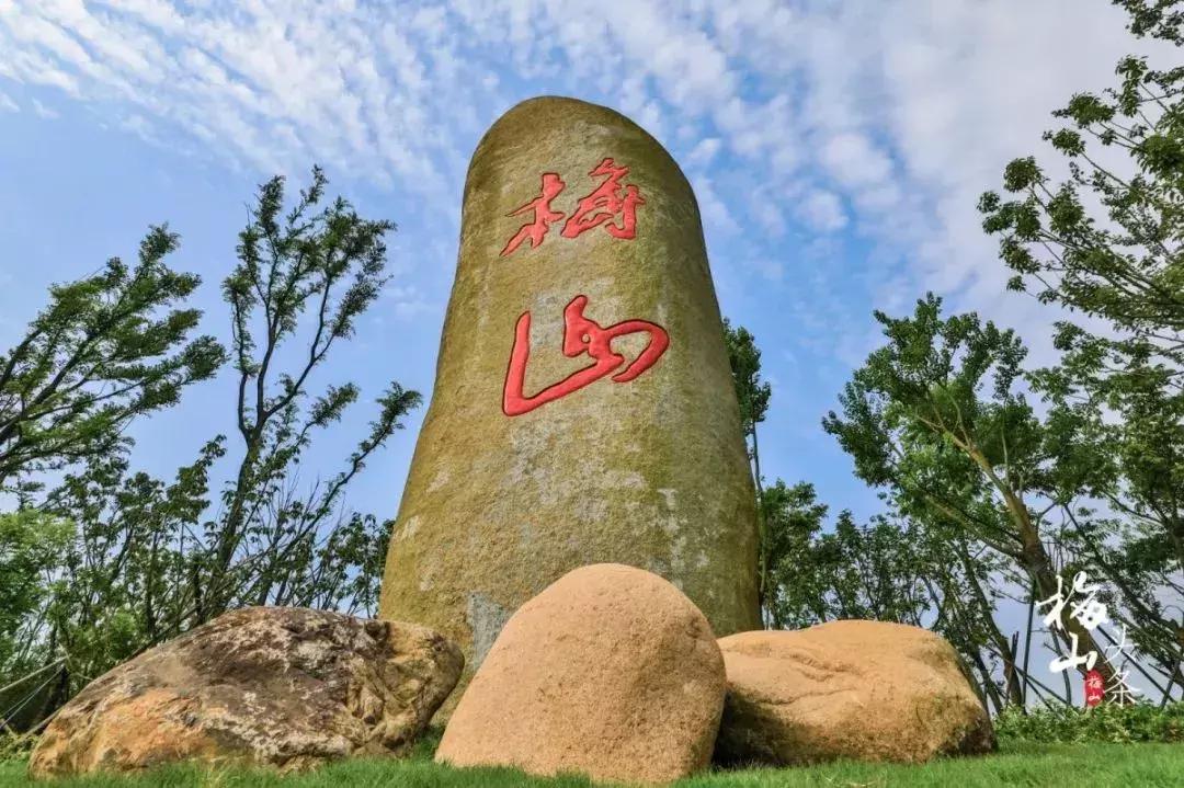 市区出发1h藏着一个“绿岛”？赛车、帆船…梅山原来如此洋气！