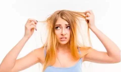 在澳洲逃不过脱发秃头？权威博士说只要吃这5种水果