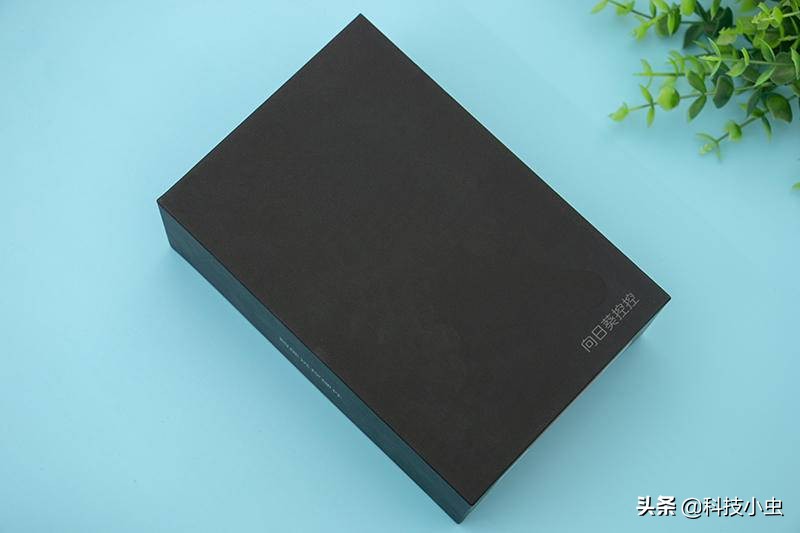 向日葵远程控制有多牛逼,向日葵远程控制对手机安全吗