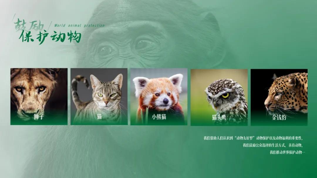 ppt排版设计技巧ppt制作培训教程,ppt优秀的图文排版案例