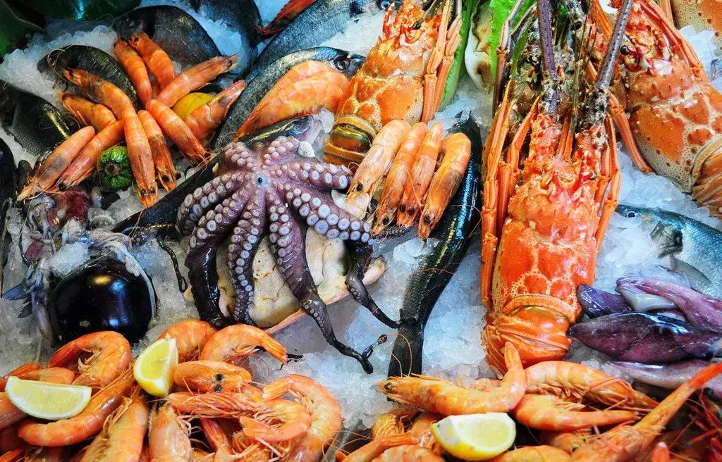 与海洋生物一起旅游,与海洋生物同游