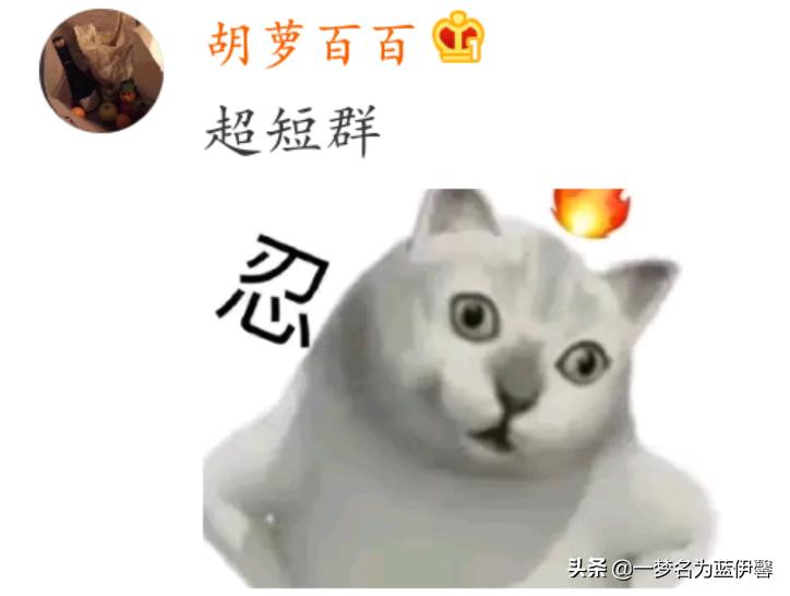 沙雕群名称,8人沙雕群名称