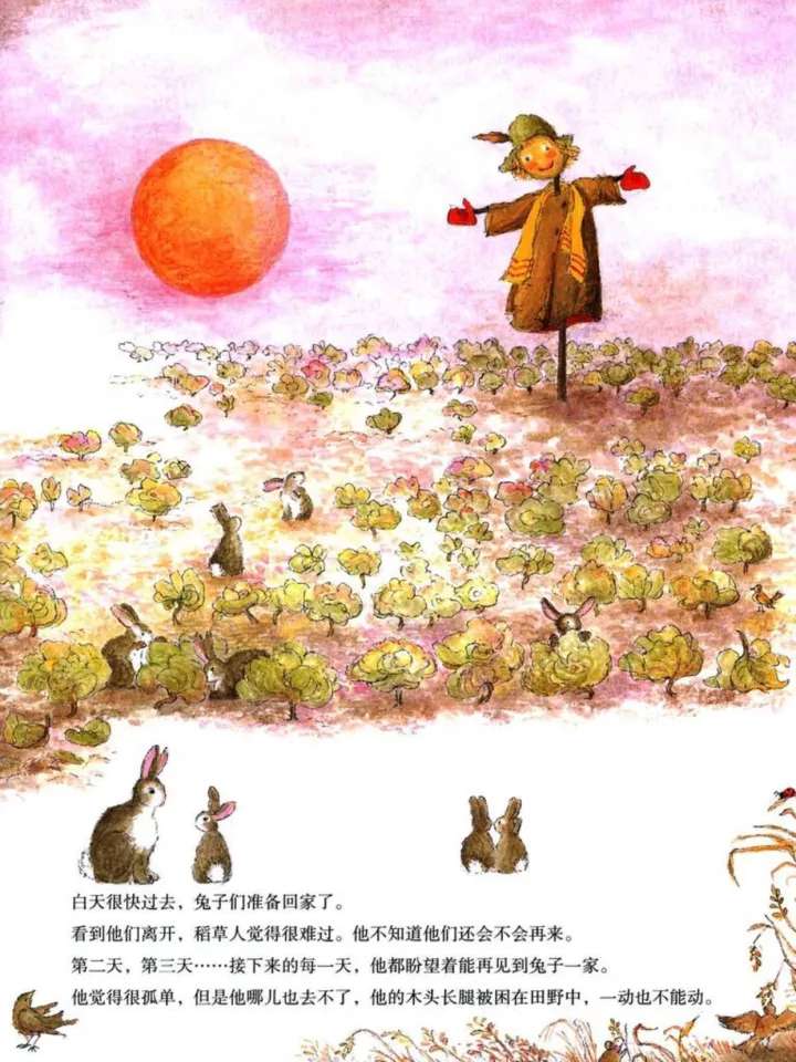 稻草人儿童绘本是告诉孩子什么,孤独的稻草人绘本完整版