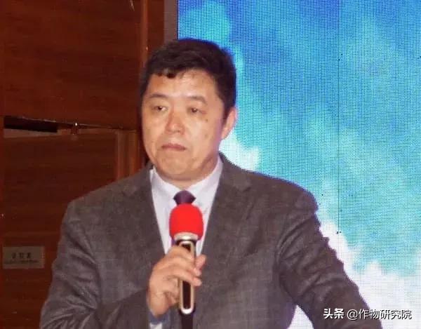 赤霉病白粉病锈病哪个减产厉害,赤霉病和小麦白粉病