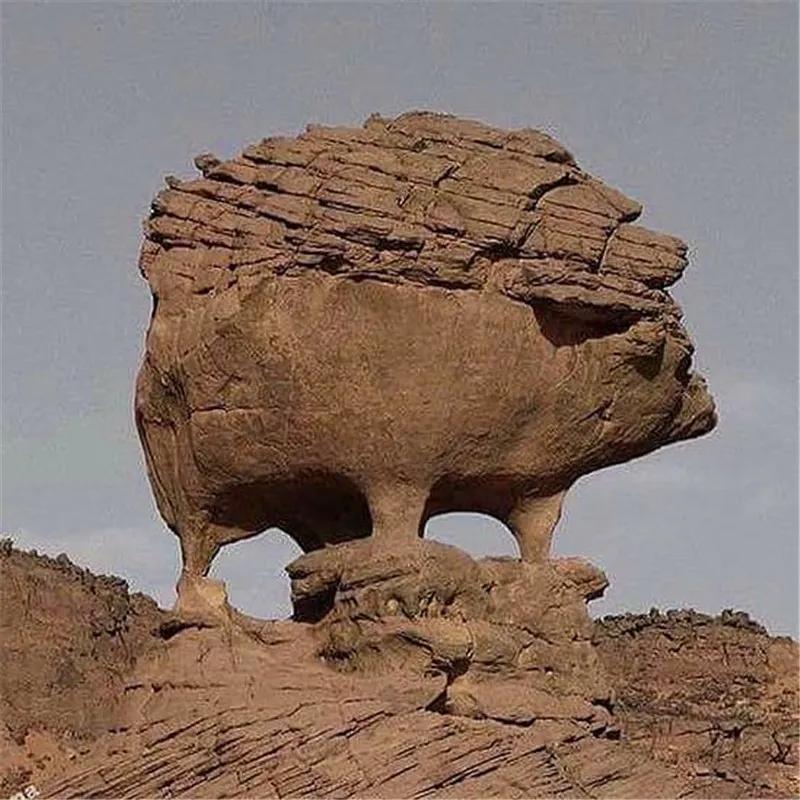 奇石怪桩,奇石怪岩