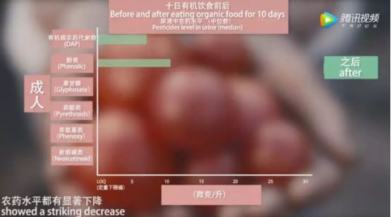 菜吧：为什么要给我们的孩子吃有机食品？