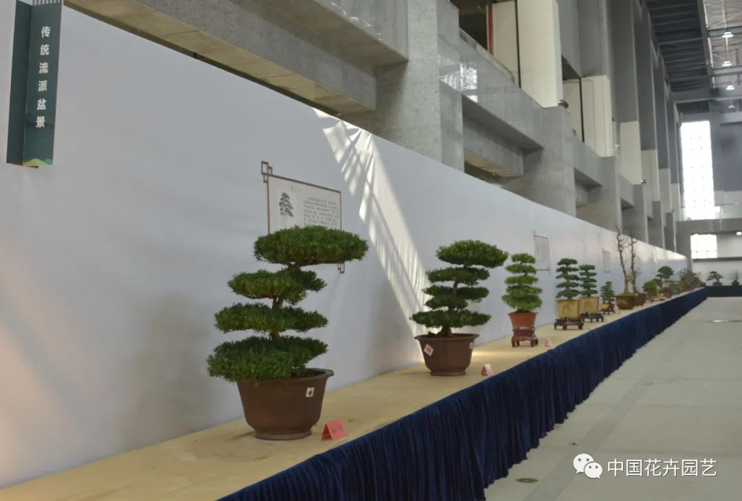 2021第三届中国盆景展,盆景展览会精品展
