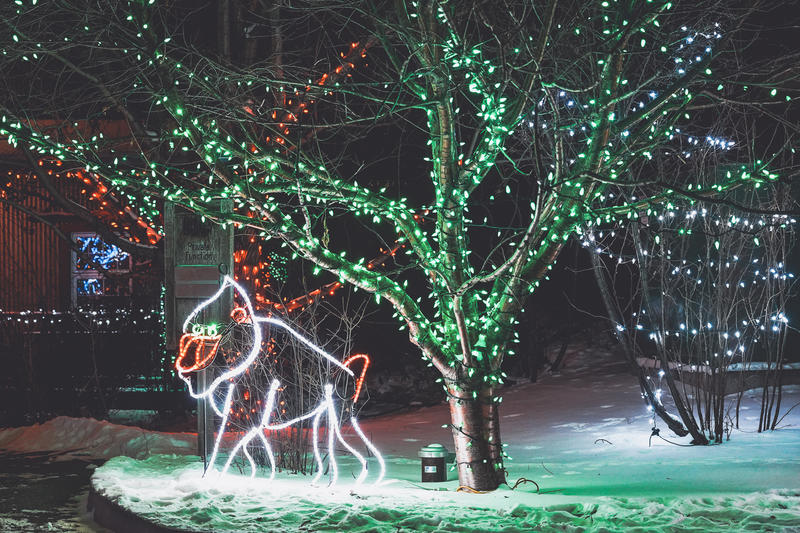 加拿大魁北克冰雪节,加拿大艾伯塔省节