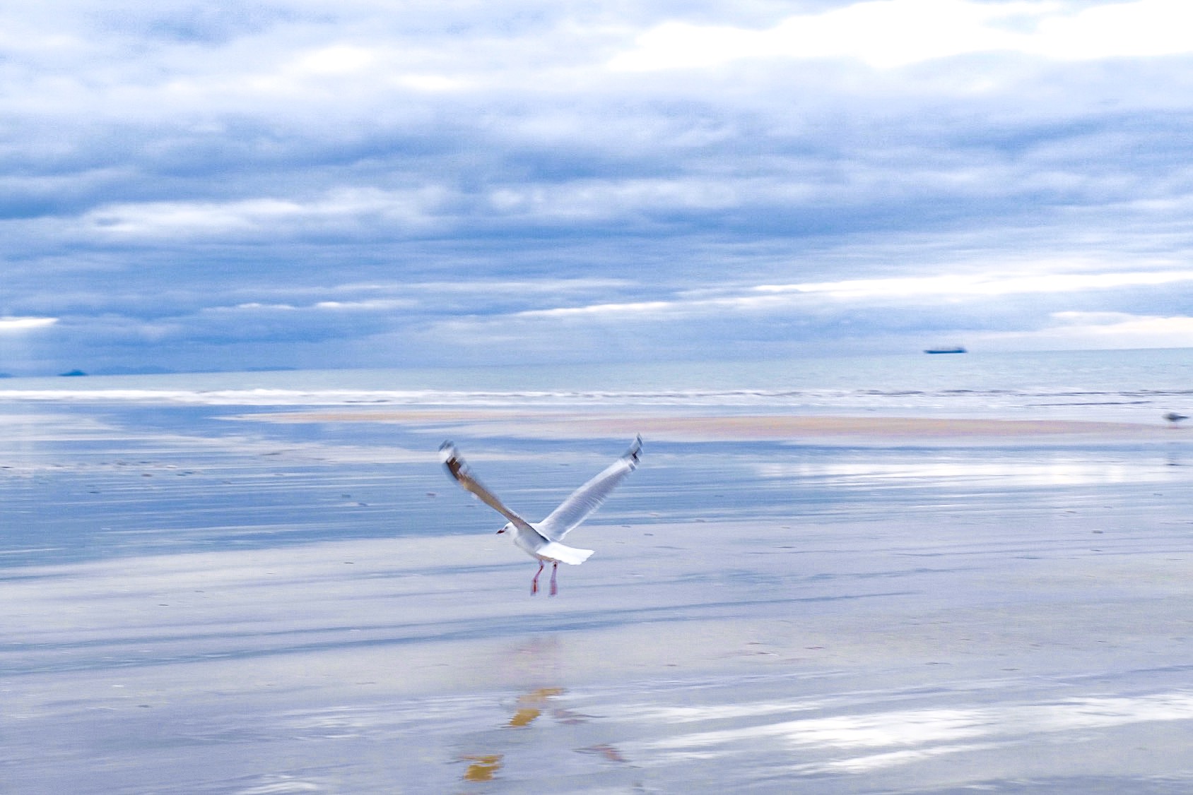 原产于中国乳名鹅莓的土货，被新西兰的土壤孕育成了国际巨星