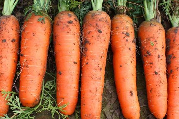 不管油烟机多脏多油,油烟机油污再脏也不怕