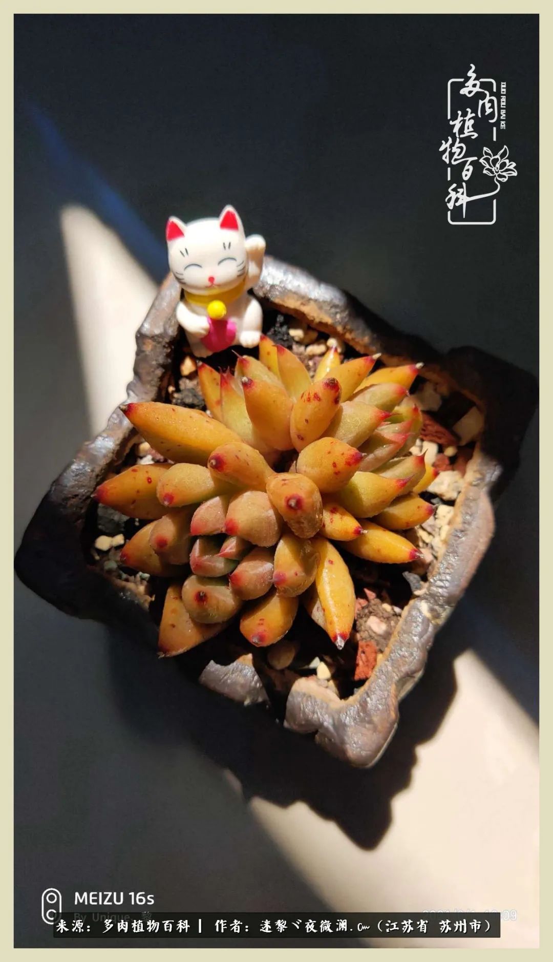 秋尽冬来岁月不居时节如流,岁月不居时节如流水