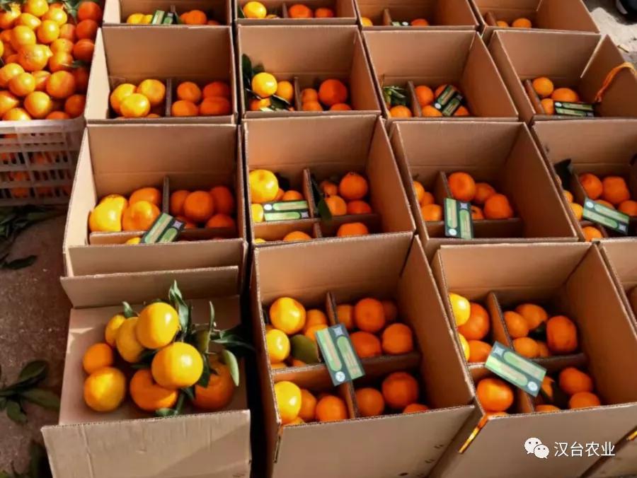 乡村振兴电商营销,乡村振兴战略电商助农