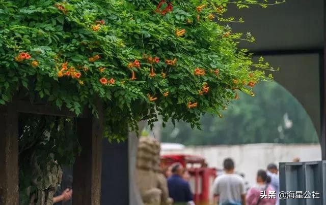 无锡十大免费公园排名榜最新,无锡晚上公园免费景点