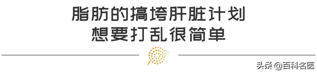 脂肪性肝炎需要注意什么,世界肝炎日肝炎你了解吗