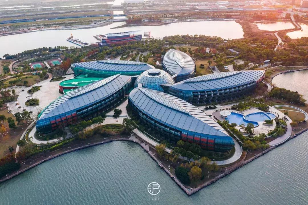 美到犯规的地方,魔都滴水湖酒店