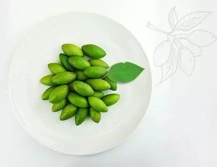 人生必备的一瓶精华,娇韵诗双萃精华适合多大年龄的