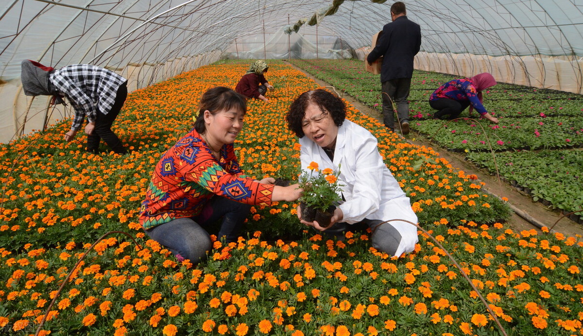 湖南省长沙市宁乡市未来发展前景,国家为什么要大力发展湖南